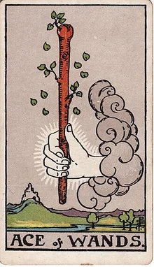 Değnek Ası Tarot Kartı